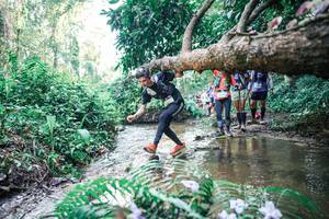 BIB: 
                            <button type="button" onclick="openModal(25464488)" class="btn btn-primary btn-sm float-right btn-popup" data-toggle="modal" data-target=".modal-high-quality">
                        <i class="fas fa-shopping-cart"></i> Add to Cart
                    </button>
                                            <button type="button" onclick="isThisMe(25464488, true)" class="btn btn-success btn-sm float-right btn-popup btn-isme hidden" data-toggle="tooltip" data-placement="bottom" title="นี่คือรูปของคุณใช่ไหม คลิกที่นี่เพื่อเอาเข้าอัลบั้ม">
                        <i class="fas fa-plus"></i> Add to album
                    </button>
                    <button type="button" onclick="isThisMe(25464488, false)" class="btn btn-warning btn-sm float-right btn-popup btn-isnotme hidden">
                        <i class="fas fa-ban"></i> Remove from album
                    </button>